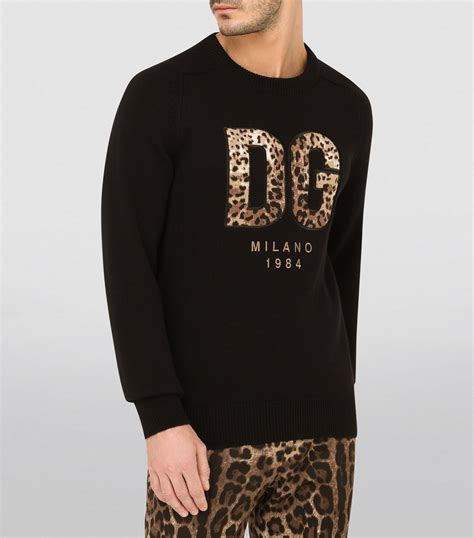 sweaters dolce gabbana